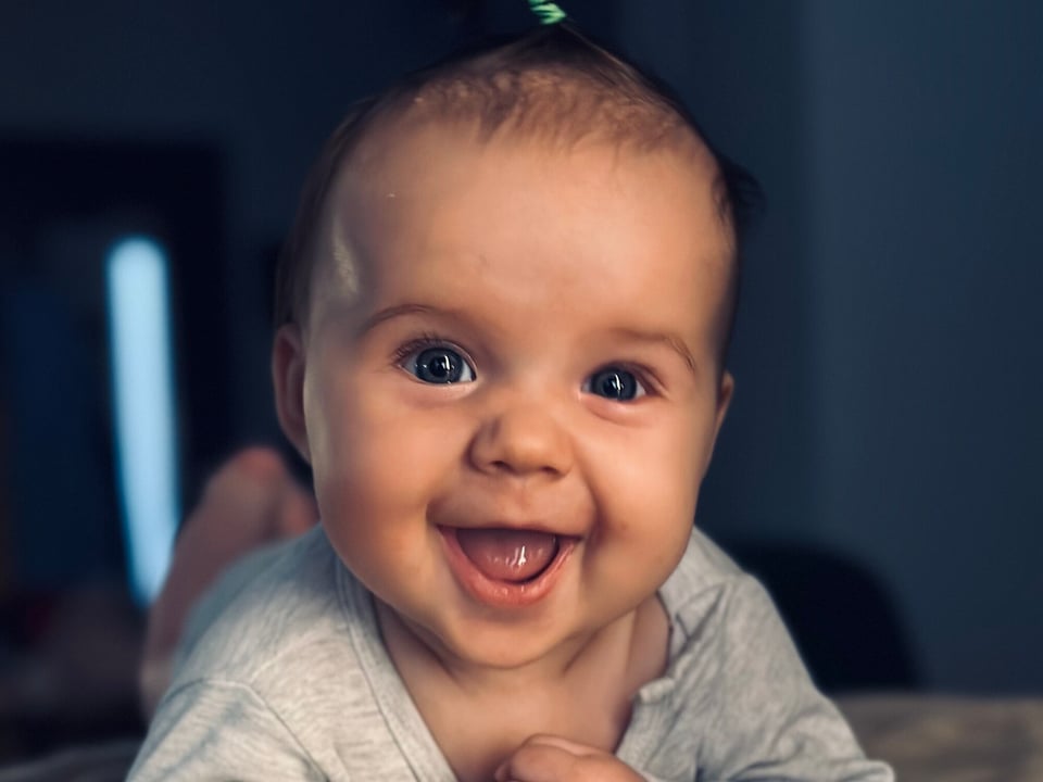 Dąbrówka Aleksander - zdjęcie główne