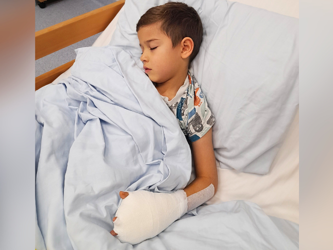 Franciszek Grzybek - zdjęcie główne