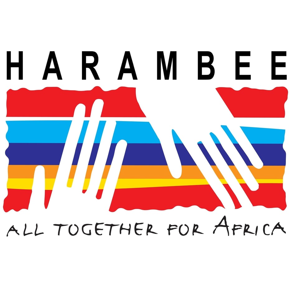 Harambee Polska - logo organizacji