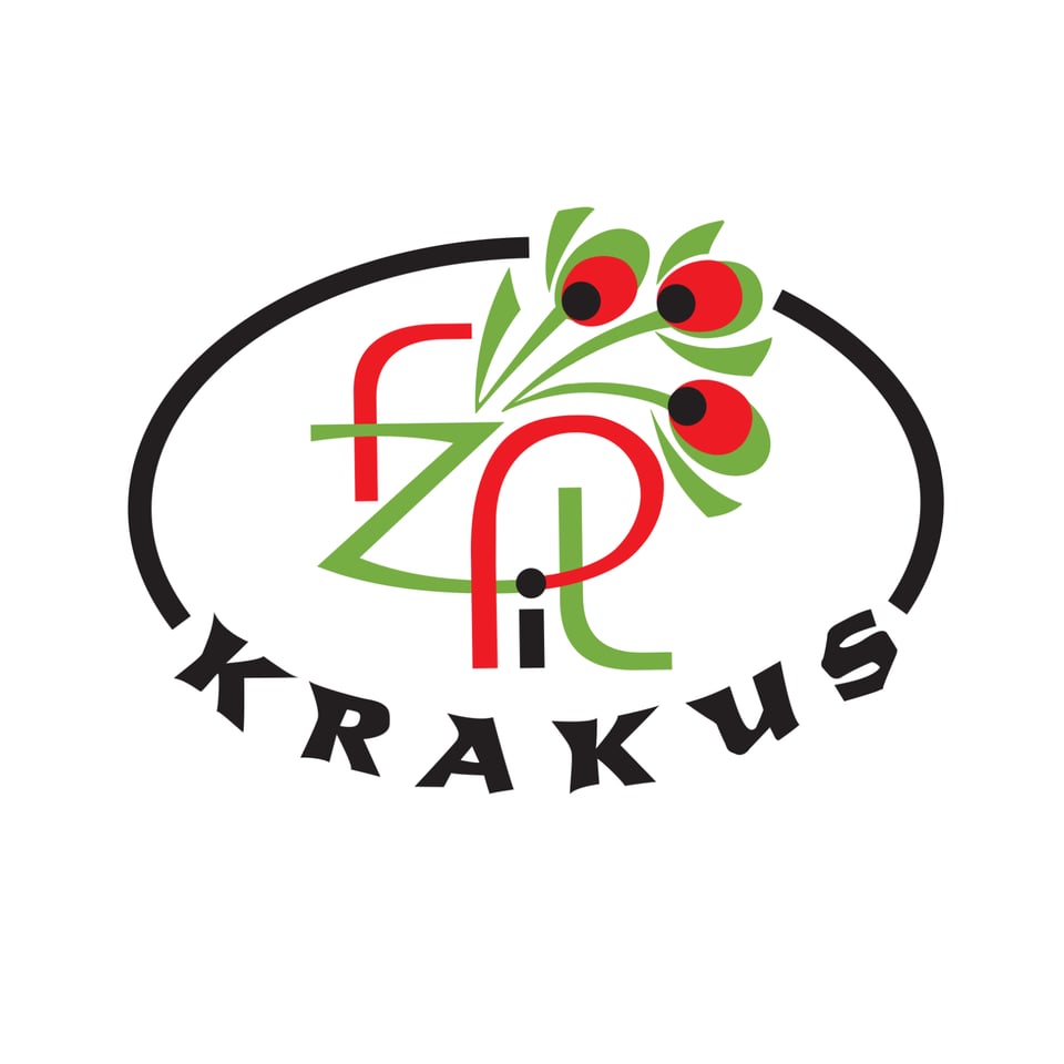 Fundacja ZPIT Krakus - logo organizacji