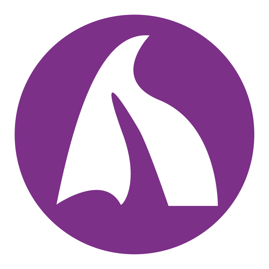 Fundacja Nienaganna - logo organizacji