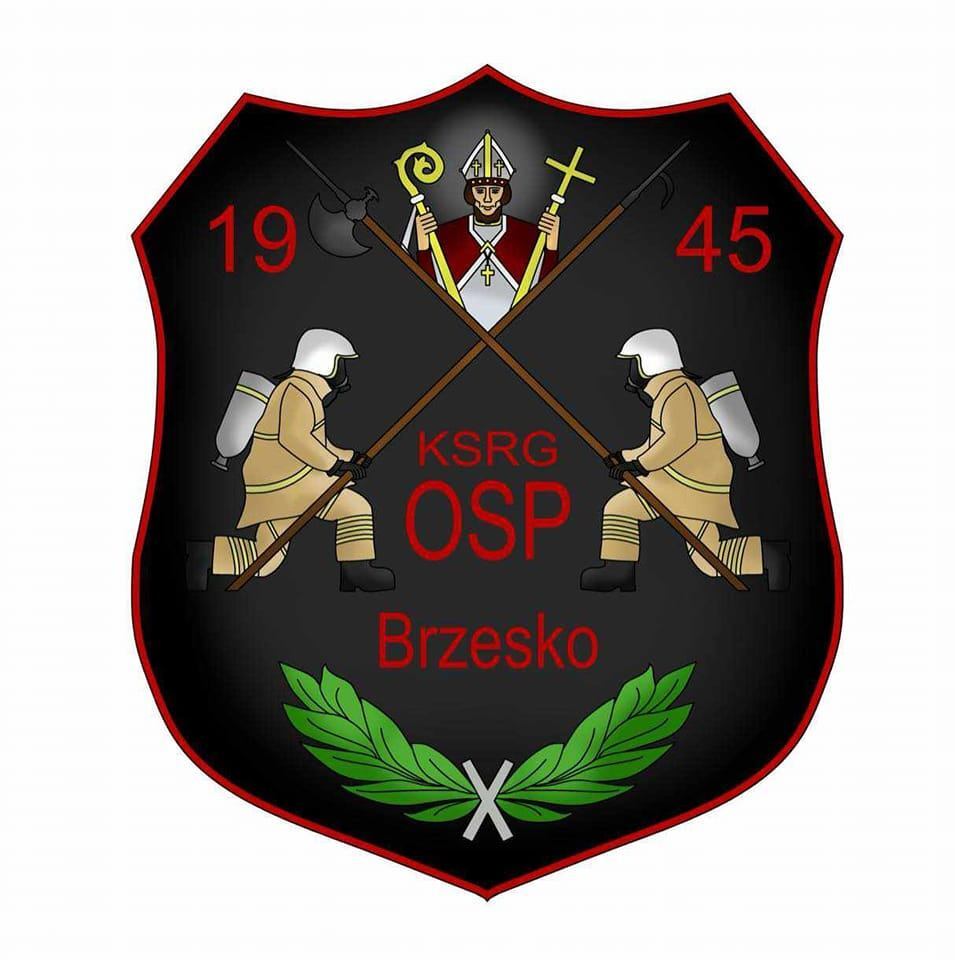 Ochotnicza Straż Pożarna w&nbsp;Brzesku - logo organizacji