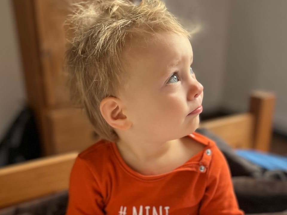 Pola Suchojad - zdjęcie główne