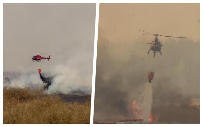 Biebrzański Park Narodowy