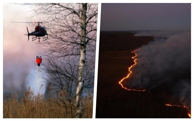 Biebrzański Park Narodowy