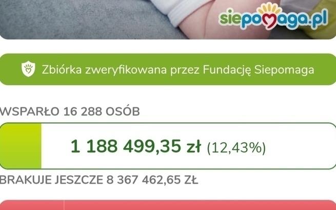 Pysia Jack Russell Terrier