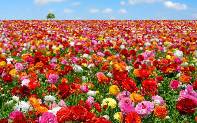 Katarzyna Kiełbowska