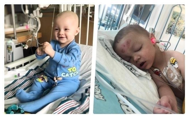 Bogna Bogumiła Bendzieszak