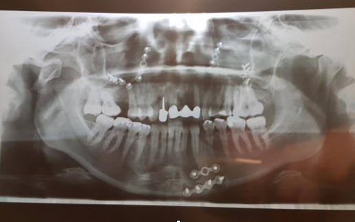 Agnieszka Bednarczyk