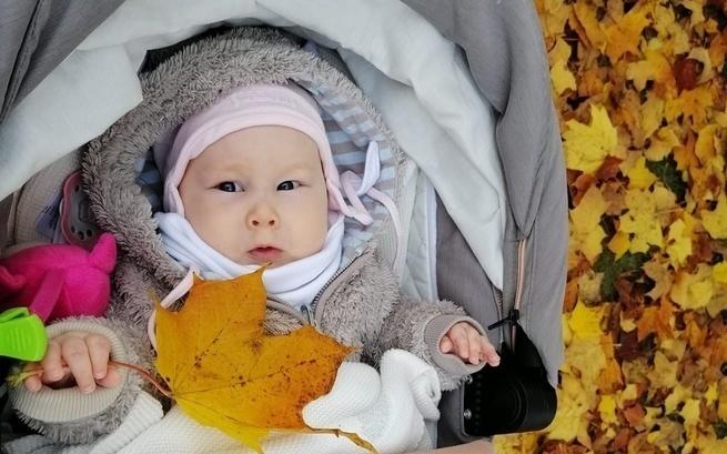 Tajemniczy przyjaciel Antosi