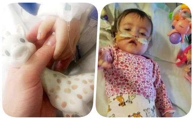 Aleksandra Dzienniak