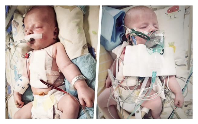 Kubuś Zwierzchowski