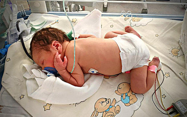 Kateryna Chetvierikova