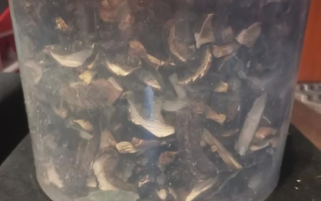 Remik Ania Wołowiec