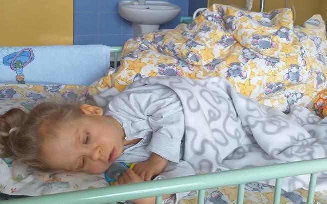 Wigry Składaki Dobre Chłopaki