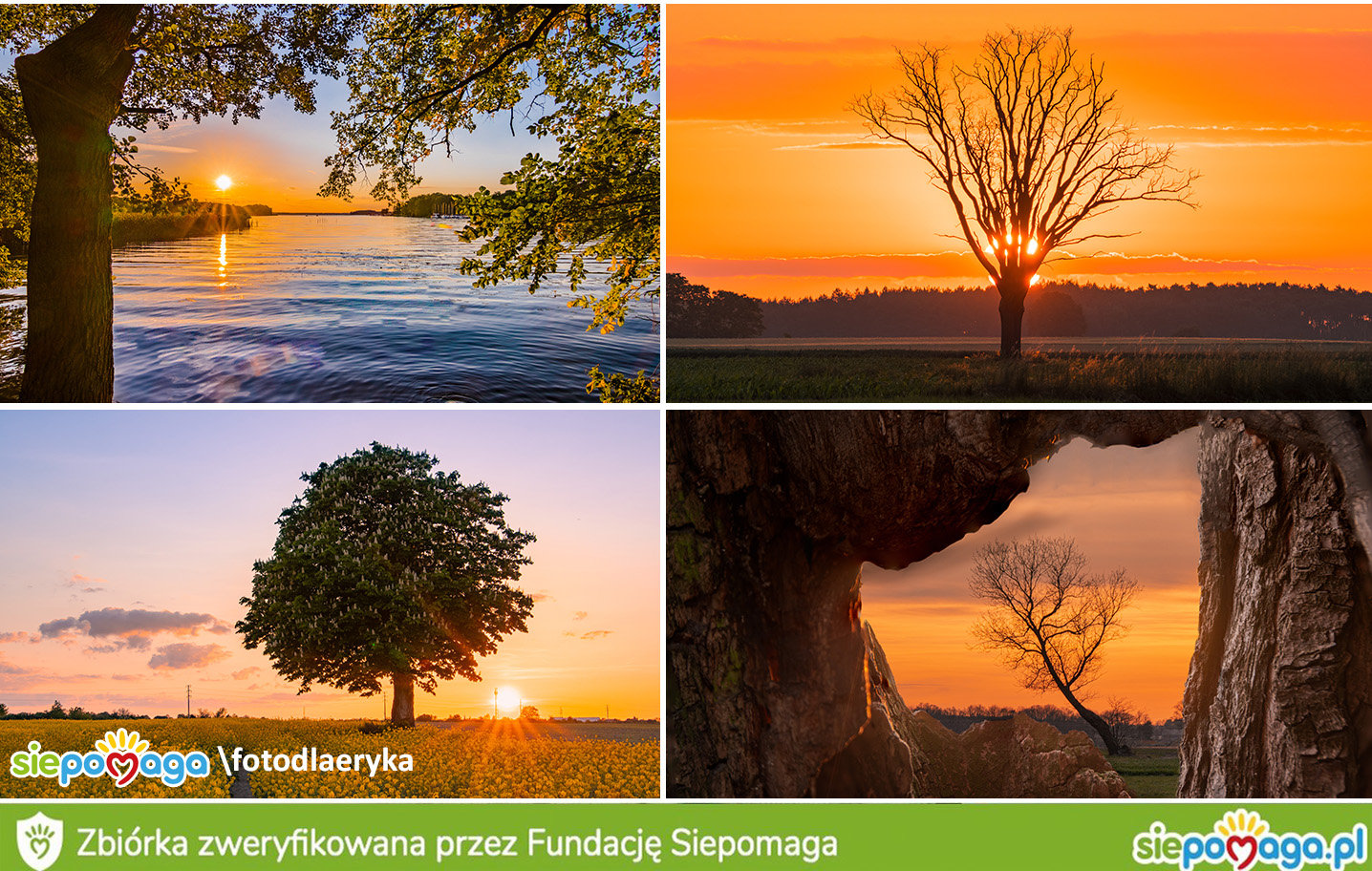 Przemysław Małecki