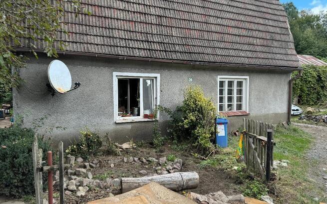 Powódź 2024 – Pomoc dla tych, którzy walczą o przetrwanie