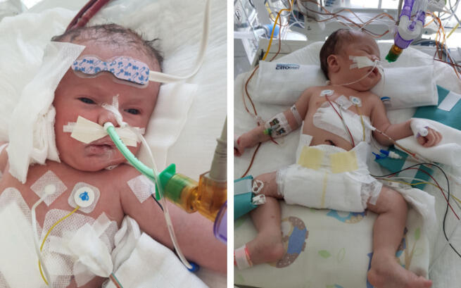 Born Fighting: The Indomitable Spirit of Little Mikołaj Nicholas Fryc