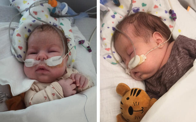 A Delicate Start: Baby Zosia’s Battle for Survival Zofia Elizabeth Hernik