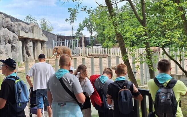 Stowarzyszenie "Wielickie Dzieci z Niepełnosprawnością"