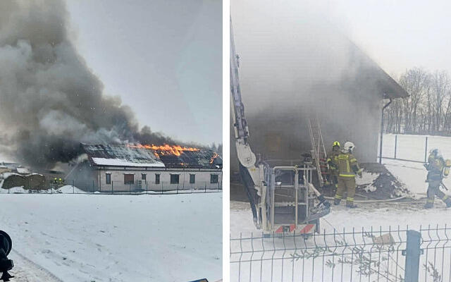 Joanna Świątkowska