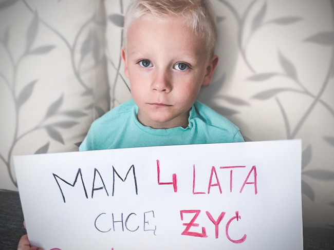 Alanek Wróblewski - main photo