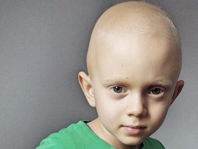 Franciszek Sternal - main photo