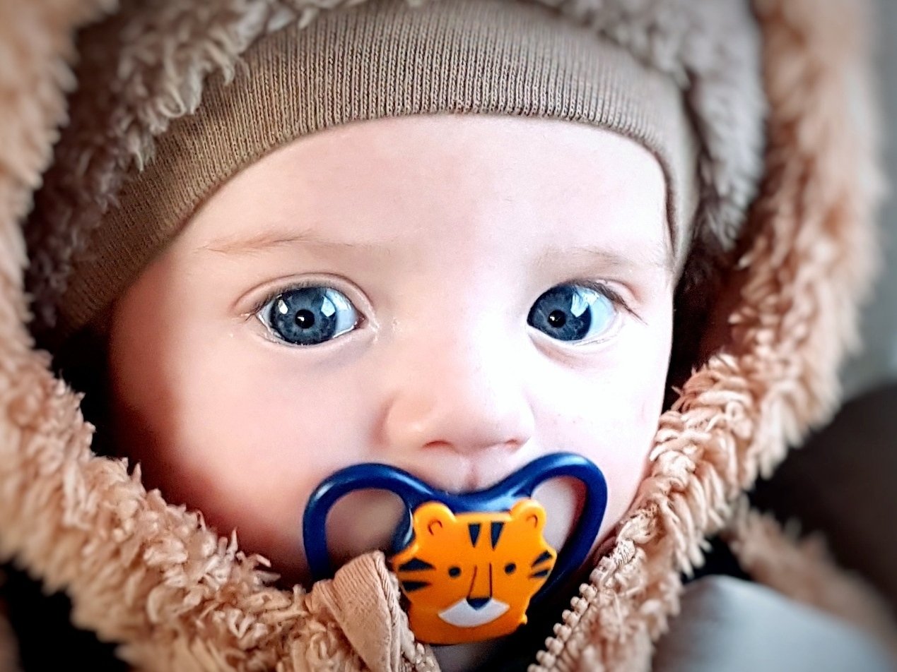 Leo Tracz - main photo