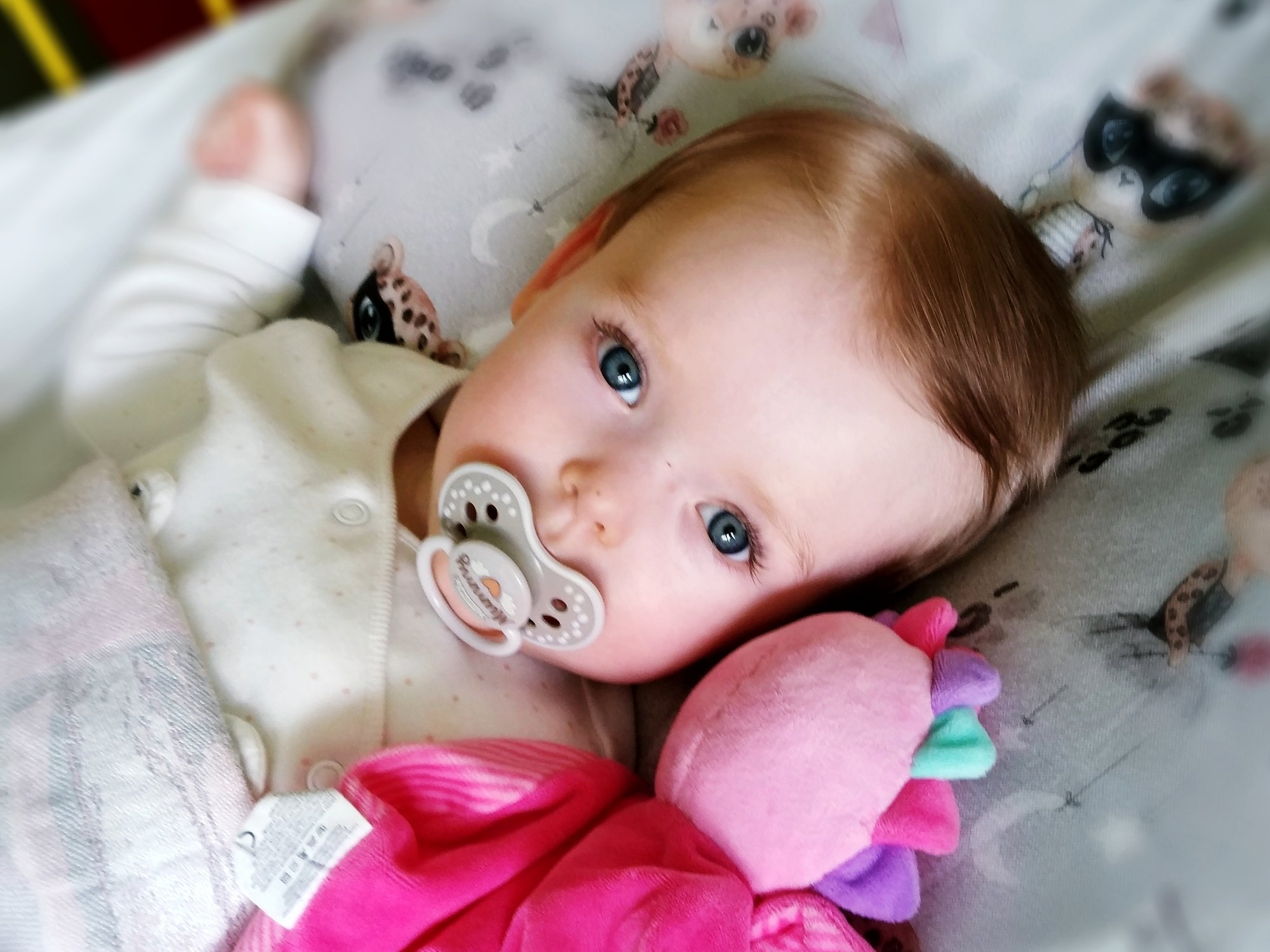 Jagoda Mędrek - main photo