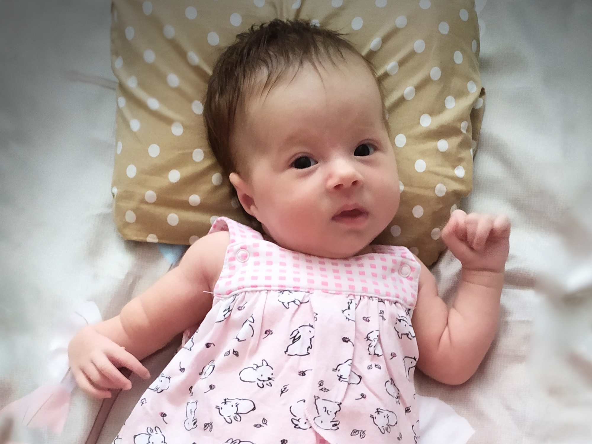 Zosia Jechna - zdjęcie główne