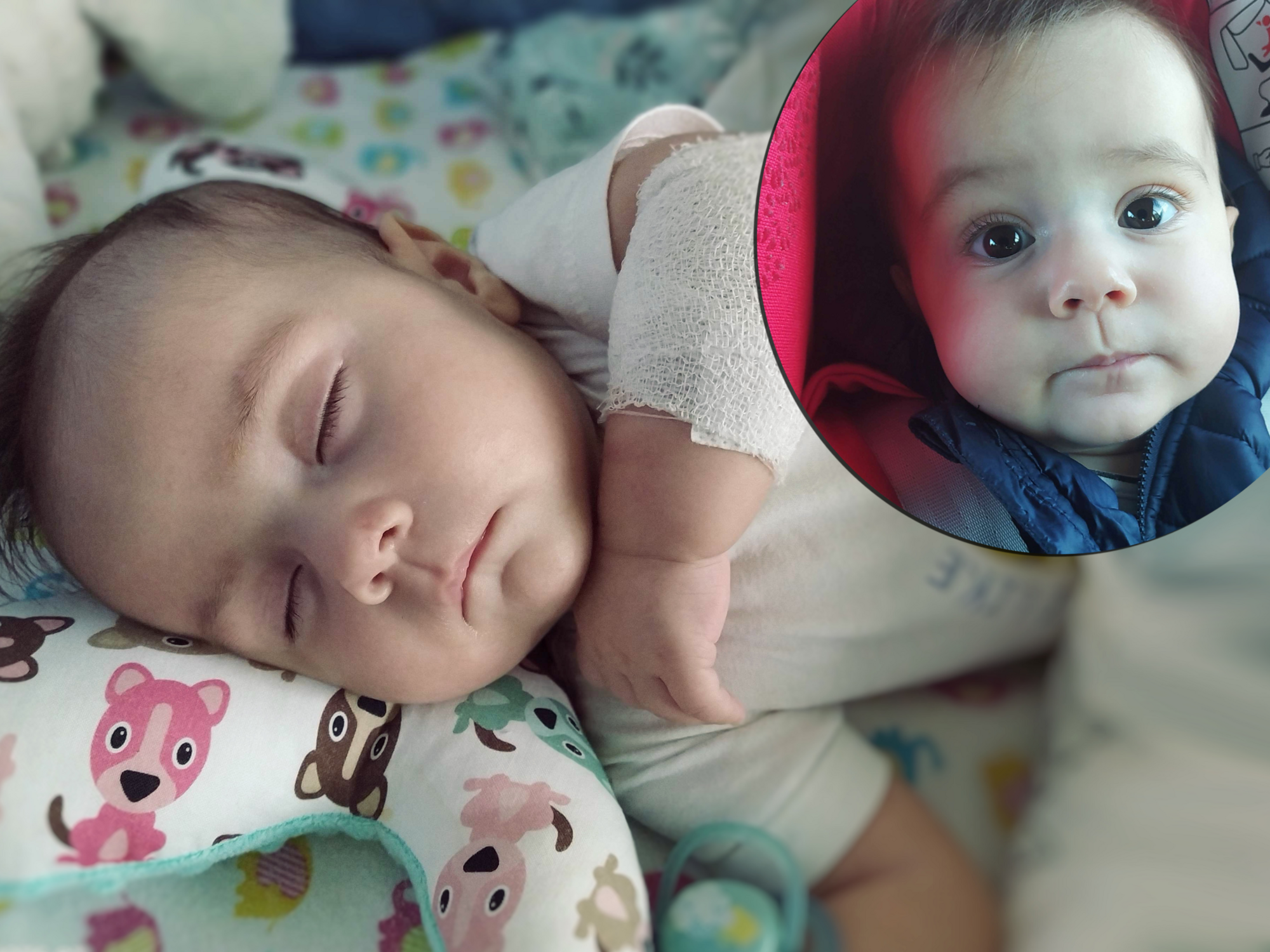 Jan Wincenty Nepelski - main photo