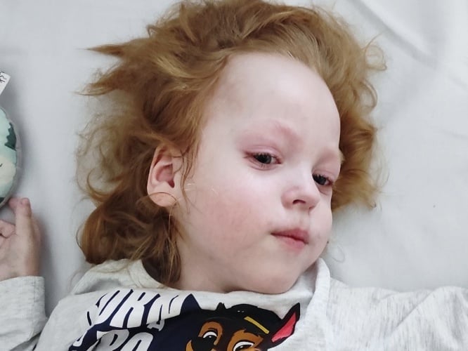 Wiktor Szczechowiak - zdjęcie główne