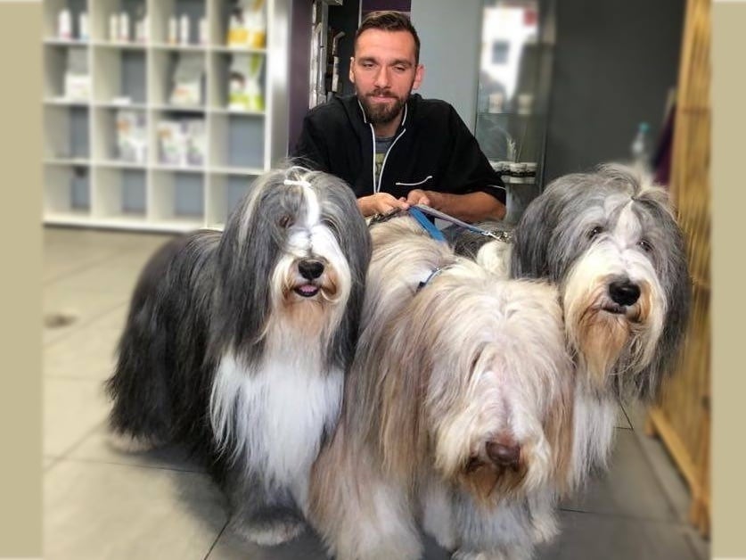 Krystian Lachowicz - zdjęcie główne