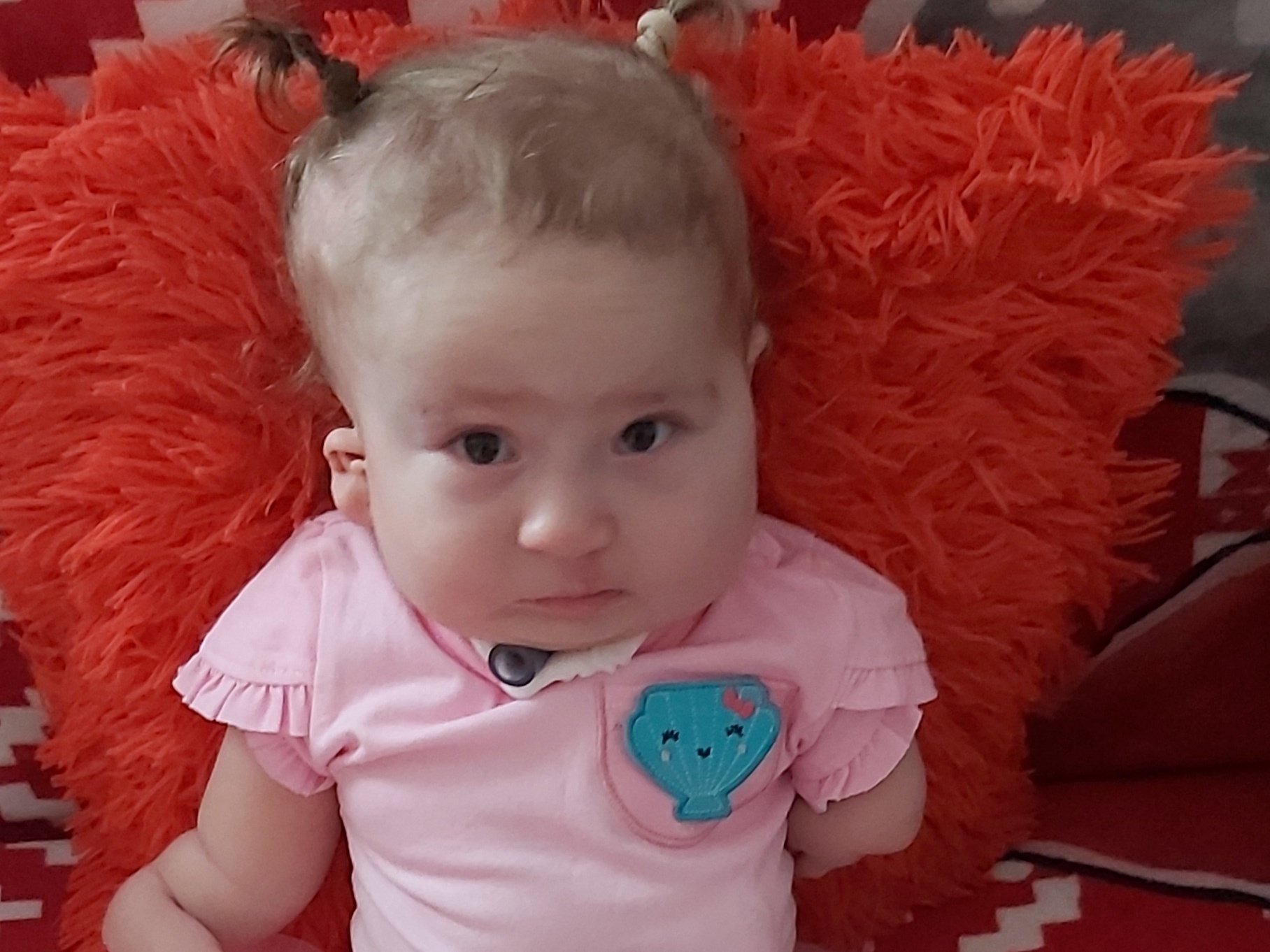 Wiktoria Przygoda - zdjęcie główne