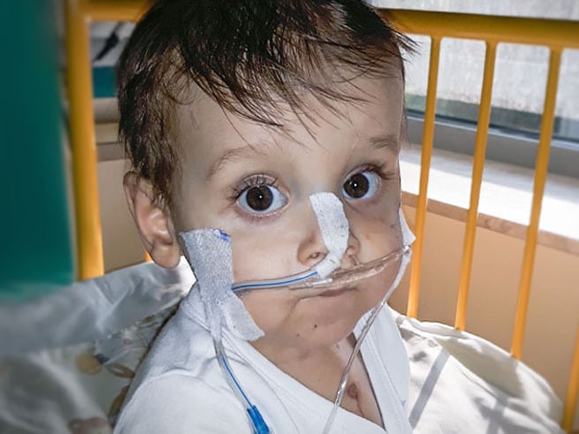 Wiktor Stelmaszek - main photo