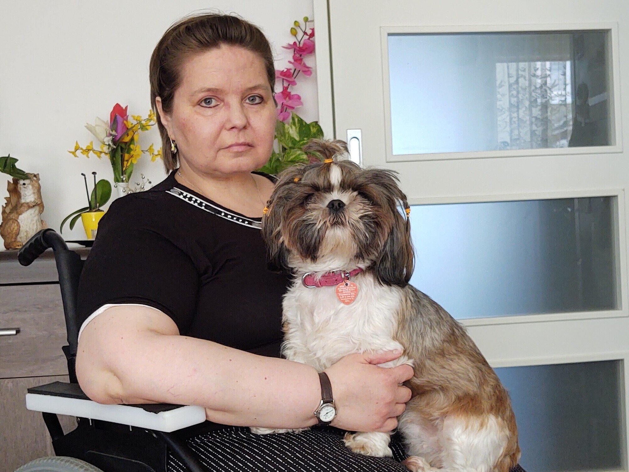 Sylwia Freus-Dąbkowska - zdjęcie główne