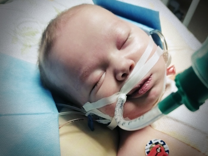 Antosia Majewska - zdjęcie główne