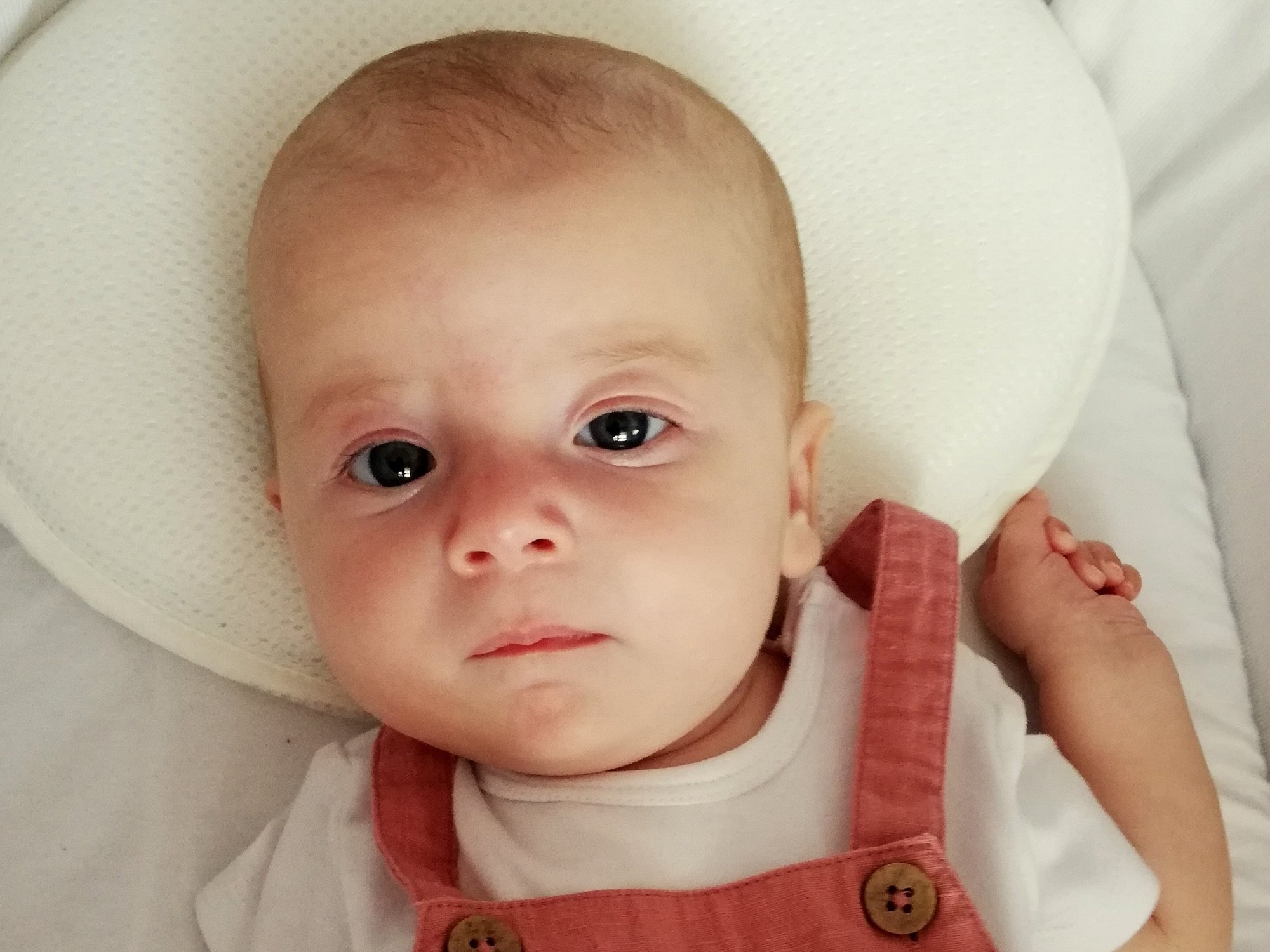 Zofia Bigos - zdjęcie główne