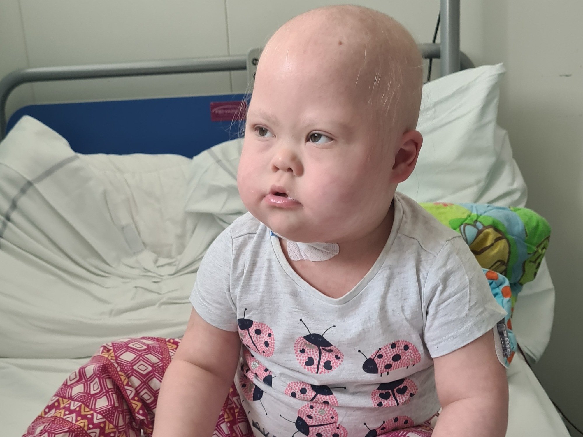 Laura Wiśniewska - zdjęcie główne