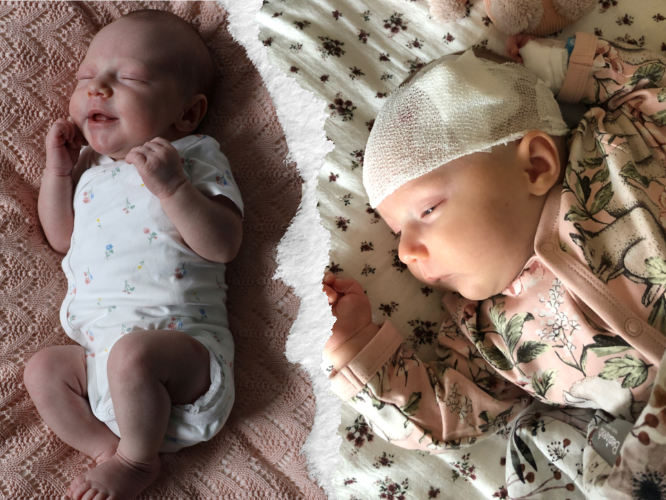 Gabrysia Dorocka - zdjęcie główne