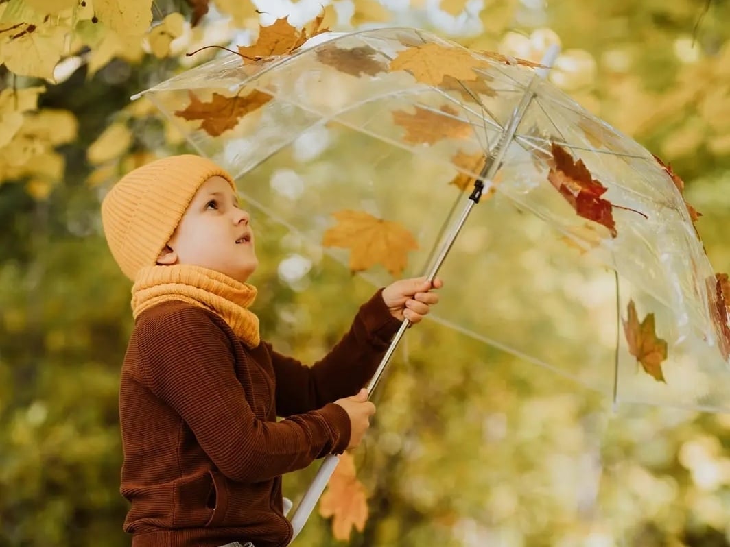 Miłosz Krasula - zdjęcie główne