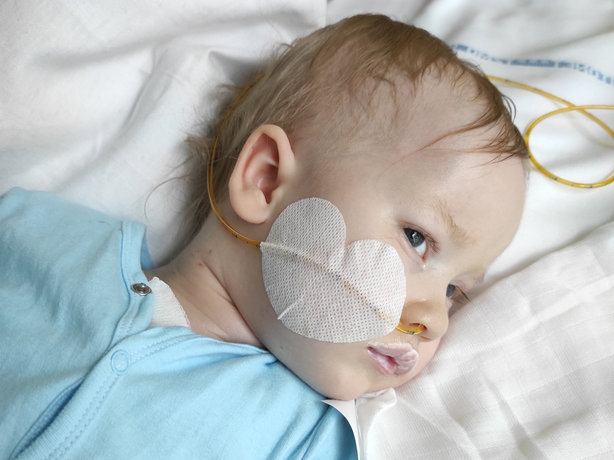 Józef Dobkowski - main photo