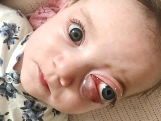 Sandra Nałęcz-Kaca - zdjęcie główne