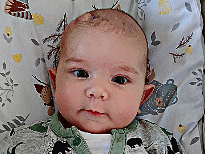 Oskar Bujak - main photo