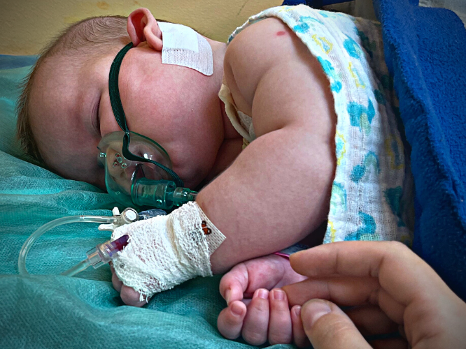 Leo Drożdż - main photo