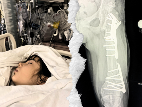 Amelka Wieczorek - zdjęcie główne