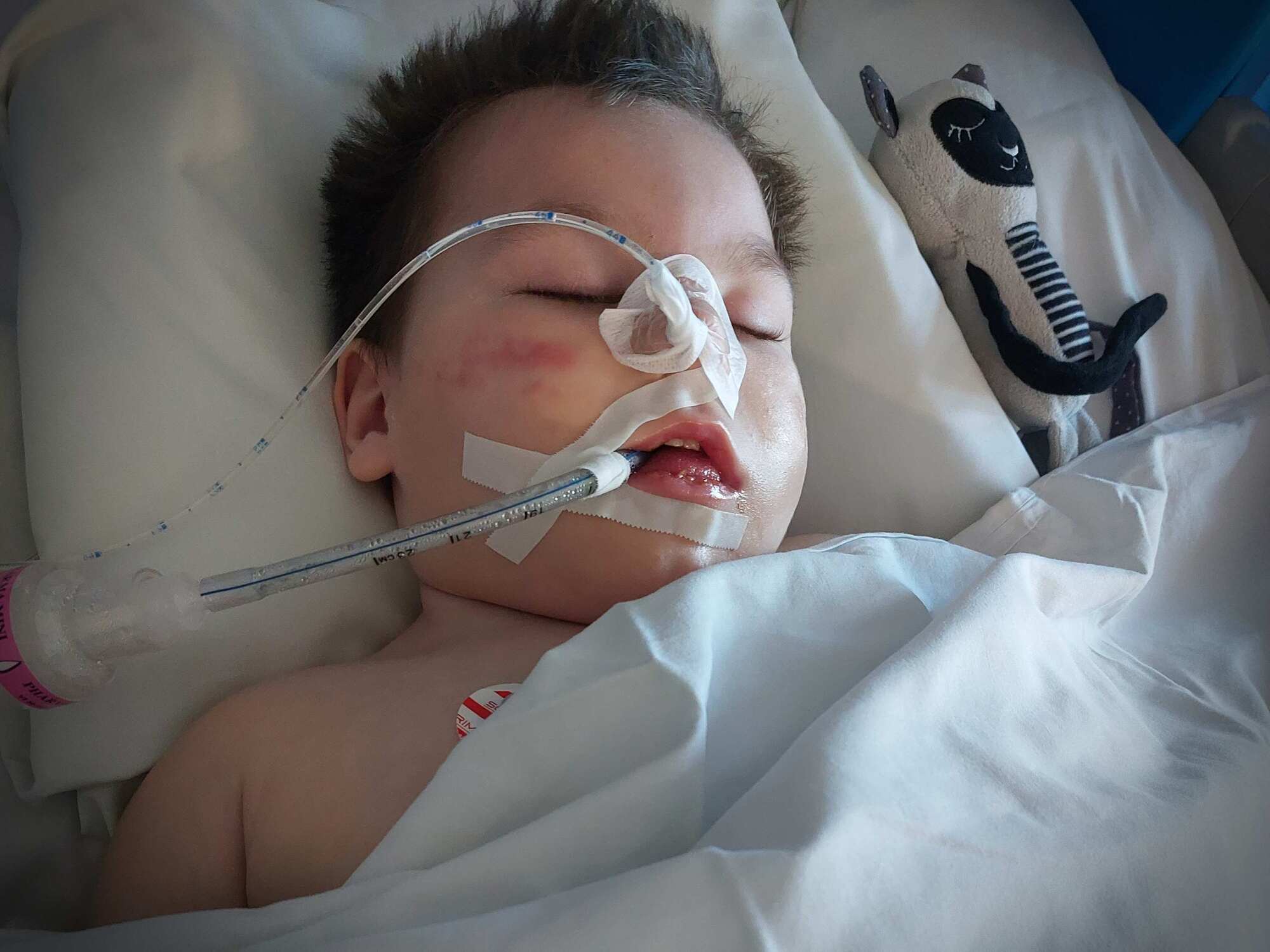 Stanisław Jerzak - main photo