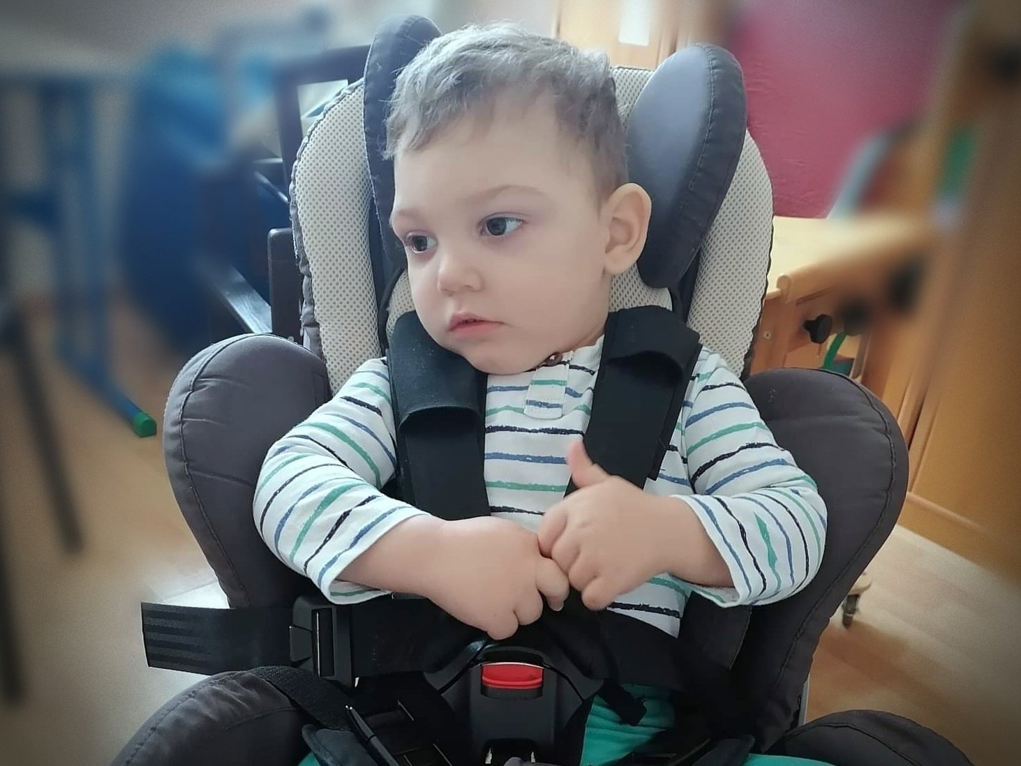 Franciszek Czernecki - zdjęcie główne