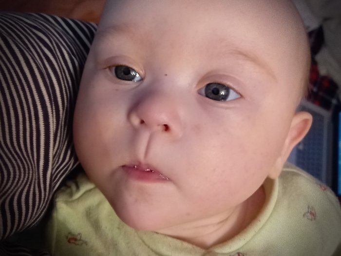 Jagoda Lebida - zdjęcie główne