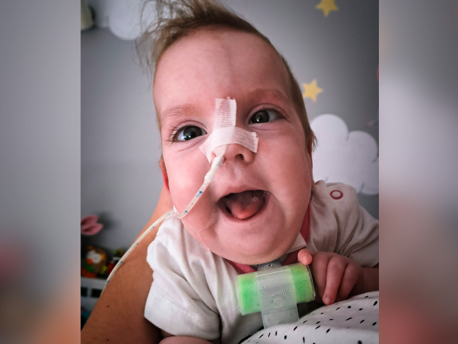 Zuzia Motyl - zdjęcie główne